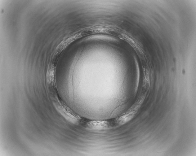 X0000087630526200705181503