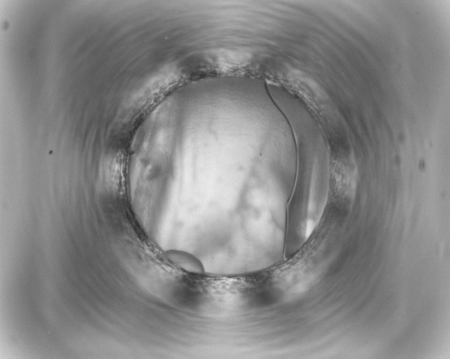 X0000087630527200705181503