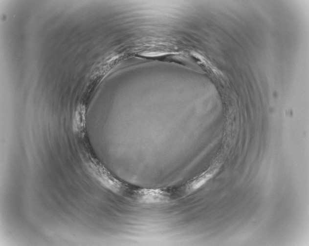 X0000087630528200705181503