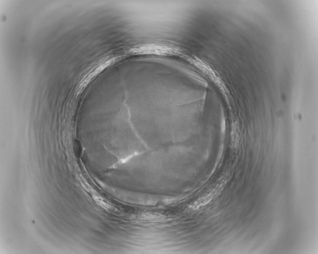 X0000087630529200705181503