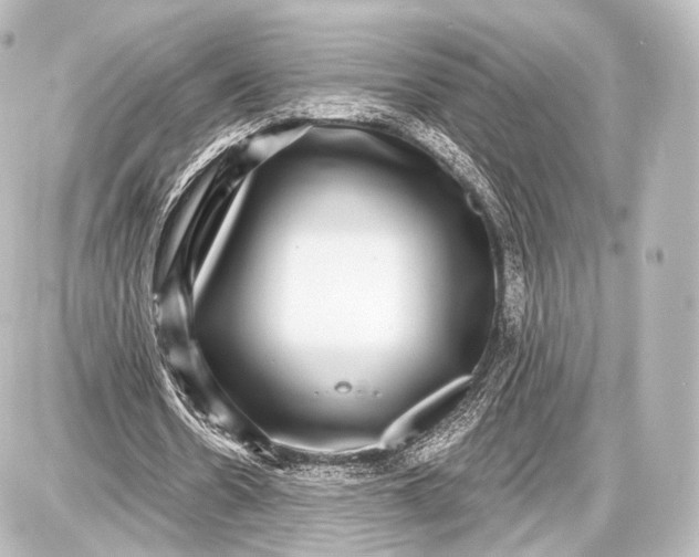 X0000087630530200705181503