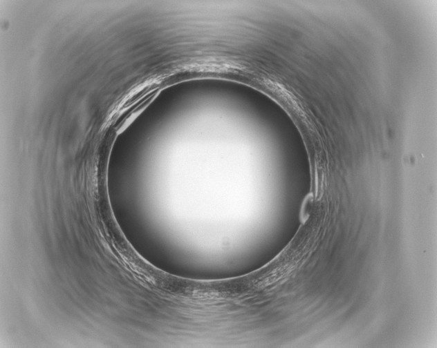 X0000087630531200705181503