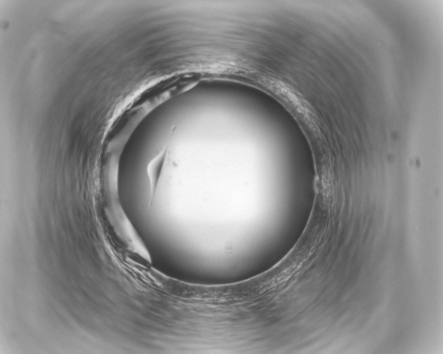 X0000087630532200705181503