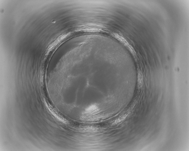 X0000087630533200705181503