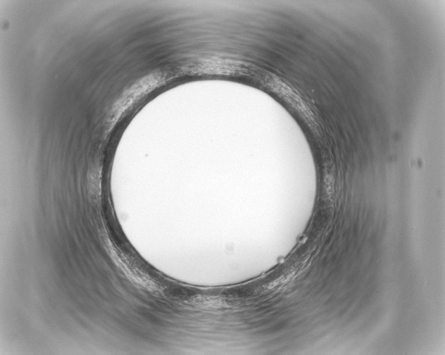 X0000087630534200705181503