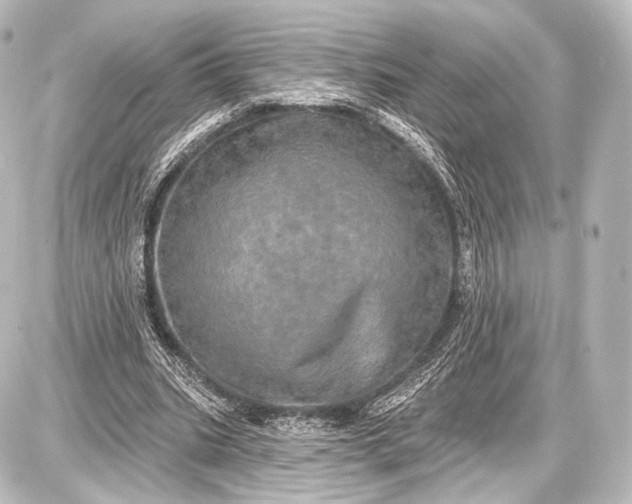 X0000087630535200705181503