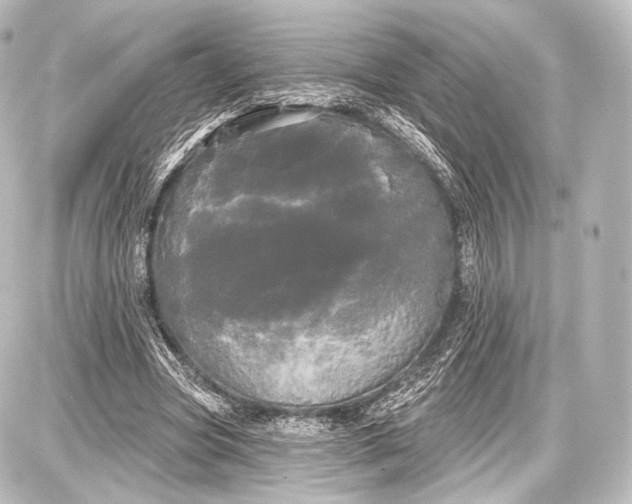 X0000087630537200705181503