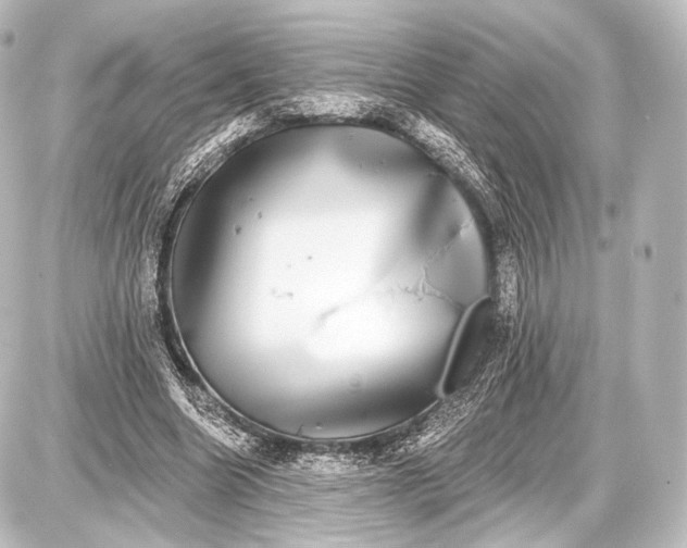 X0000087630538200705181503