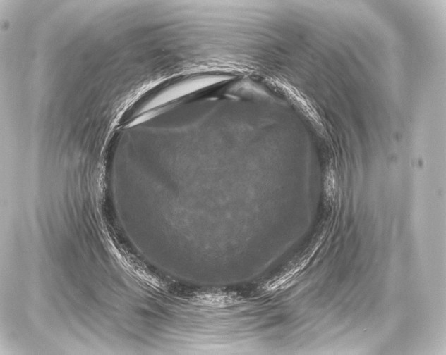 X0000087630540200705181503