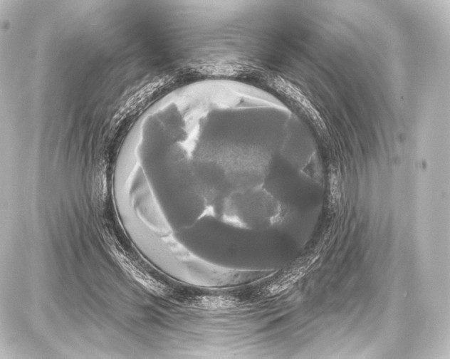 X0000087630541200705181503