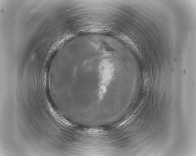 X0000087630542200705181503