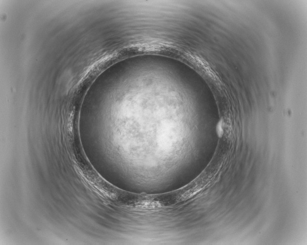 X0000087630543200705181503