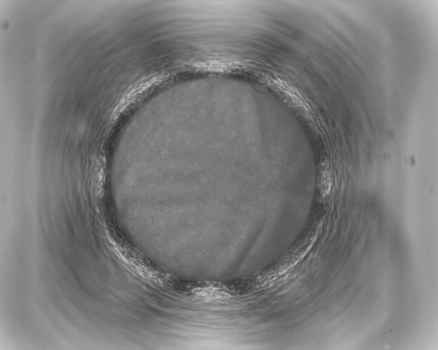 X0000087630544200705181503