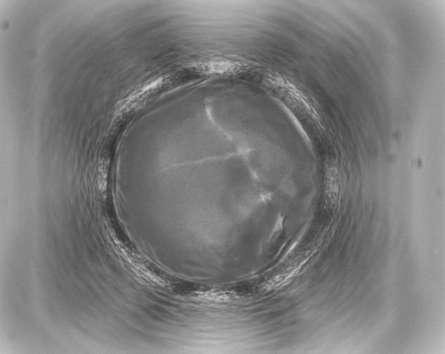 X0000087630545200705181503