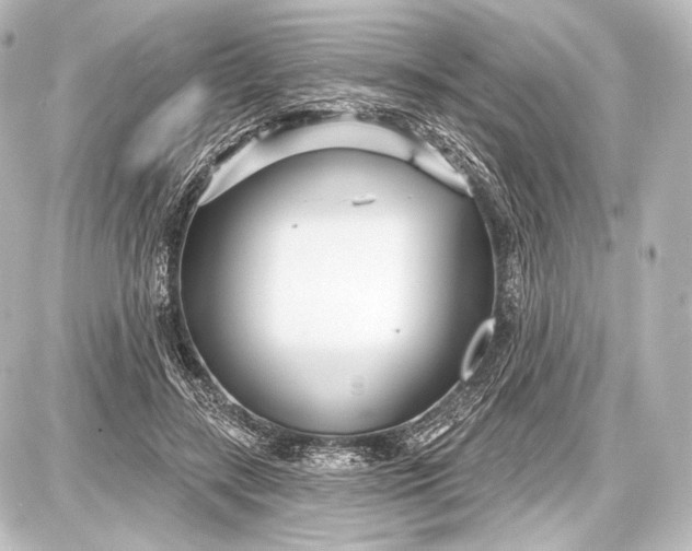 X0000087630547200705181503