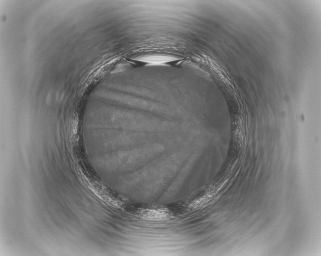 X0000087630548200705181503