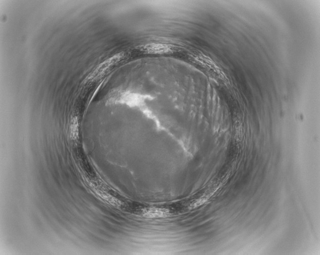 X0000087630549200705181503