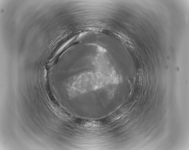 X0000087630550200705181503