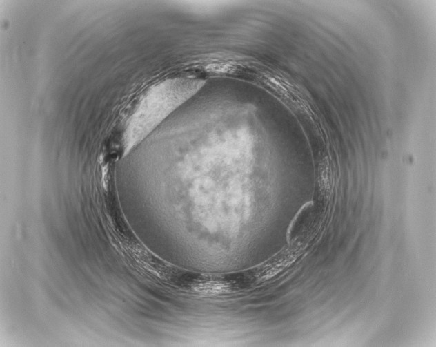 X0000087630551200705181503