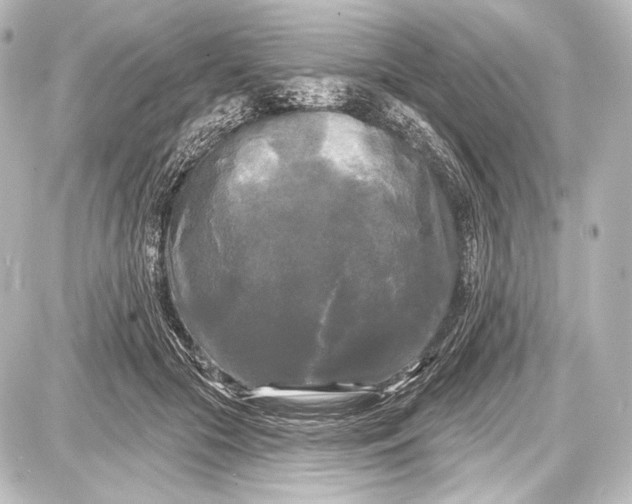 X0000087630553200705181503