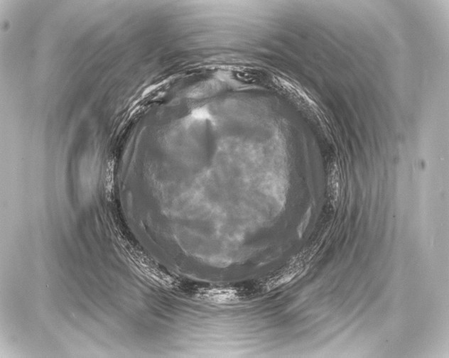 X0000087630554200705181503