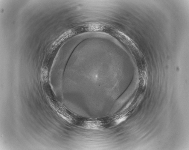 X0000087630556200705181503