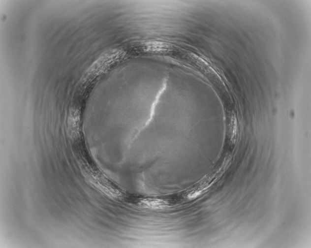 X0000087630557200705181503