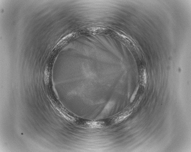 X0000087630558200705181503