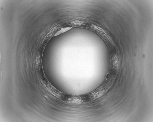 X0000087630559200705181503