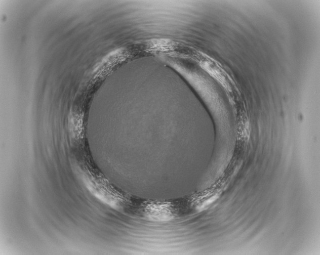 X0000087630560200705181503