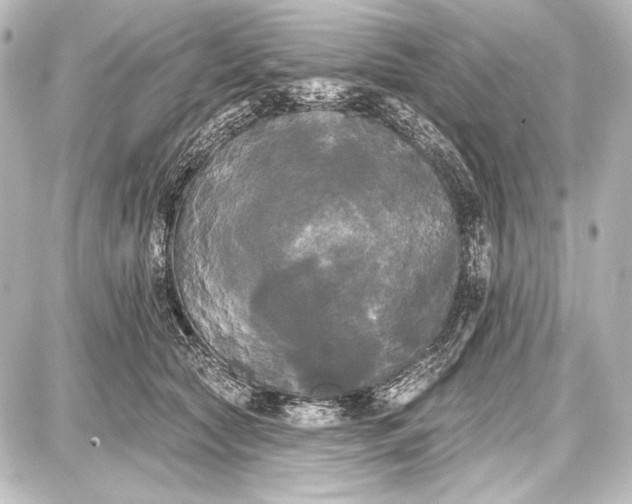 X0000087630561200705181503