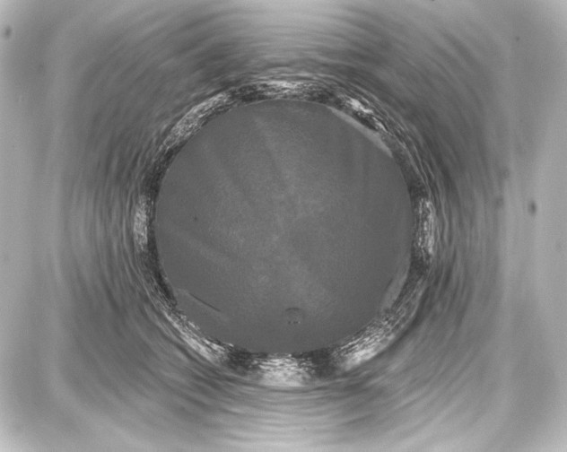 X0000087630562200705181503