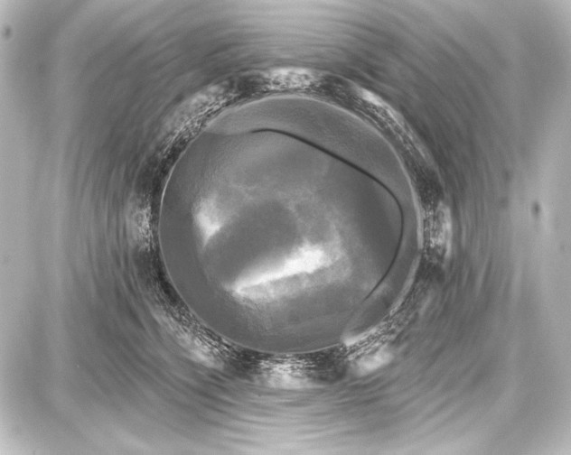 X0000087630564200705181503