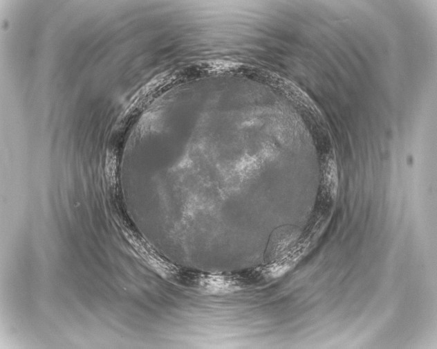 X0000087630565200705181503