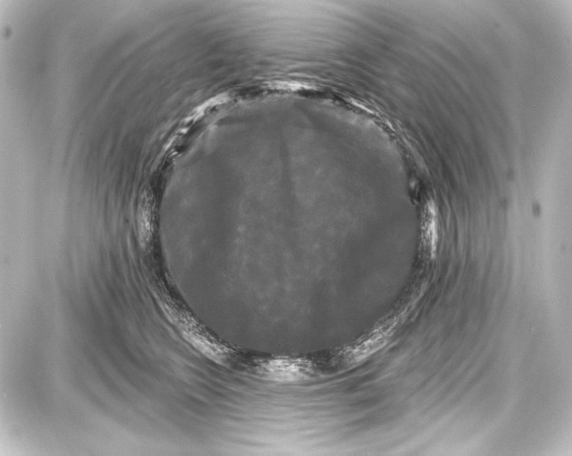 X0000087630566200705181503