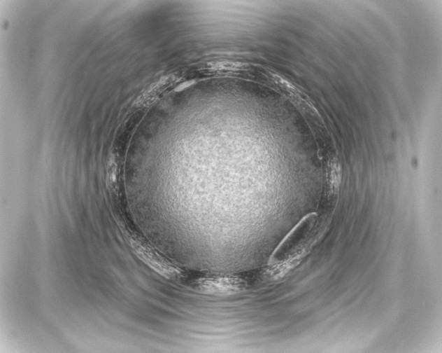 X0000087630567200705181503