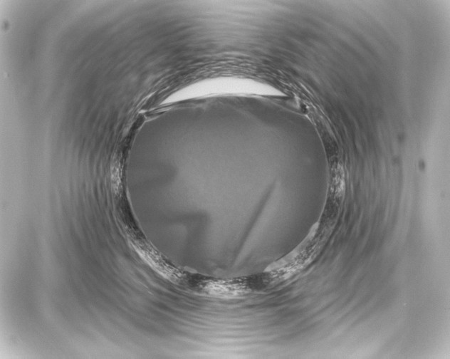 X0000087630568200705181503