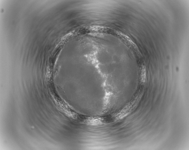 X0000087630569200705181503