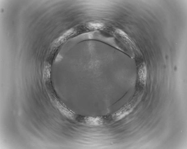 X0000087630570200705181503