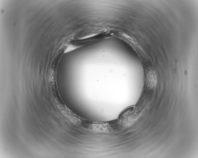 X0000087630571200705181503