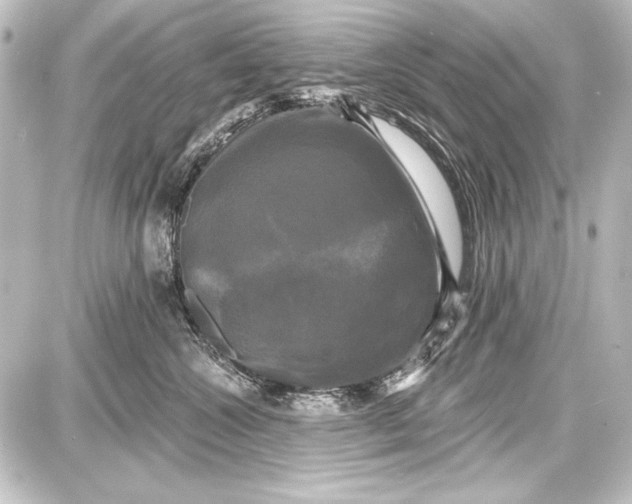 X0000087630572200705181503