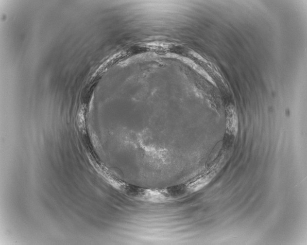 X0000087630573200705181503