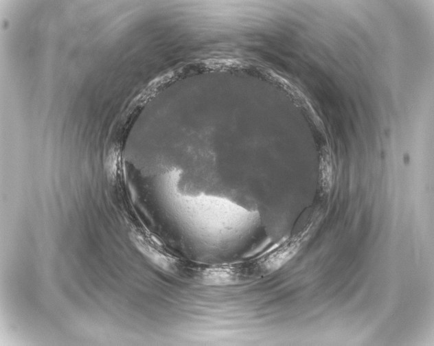 X0000087630574200705181503