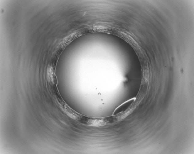 X0000087630575200705181503