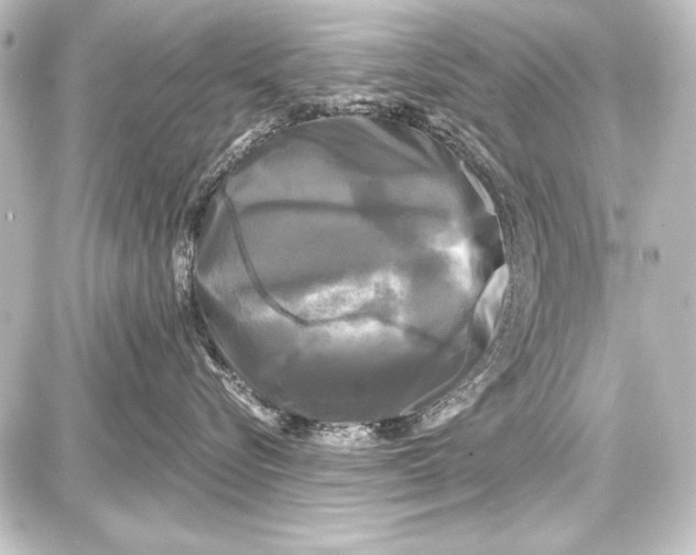 X0000087630576200705181503