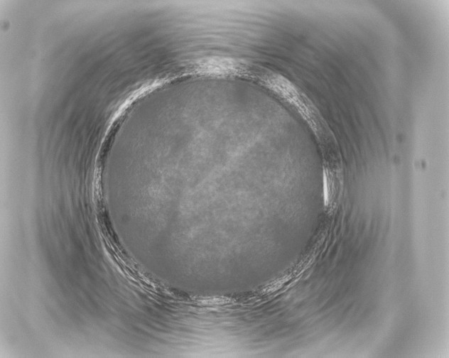 X0000087630579200705181503