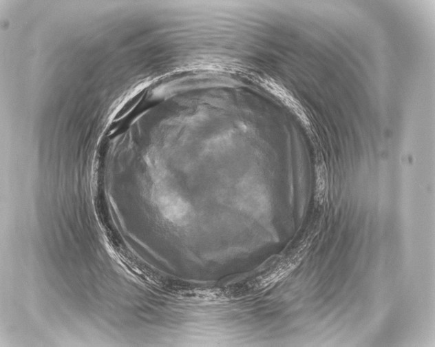 X0000087630580200705181502