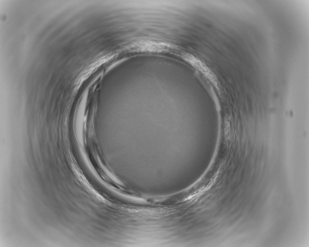 X0000087630581200705181502