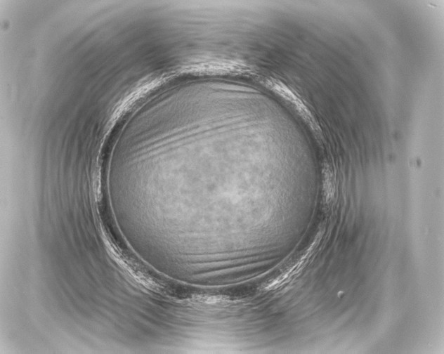 X0000087630582200705181502