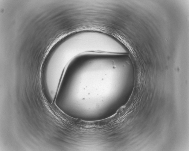 X0000087630584200705181502